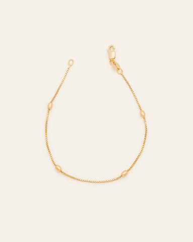 A Gold Vermeil box chain bracelet spaced between oval beaded links featuring a lobster clasp on a cream background.